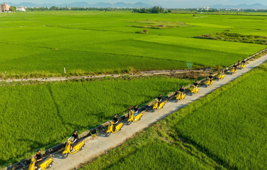 Da Nang: Marathon & Central Vietnam Explore 4-Night Package