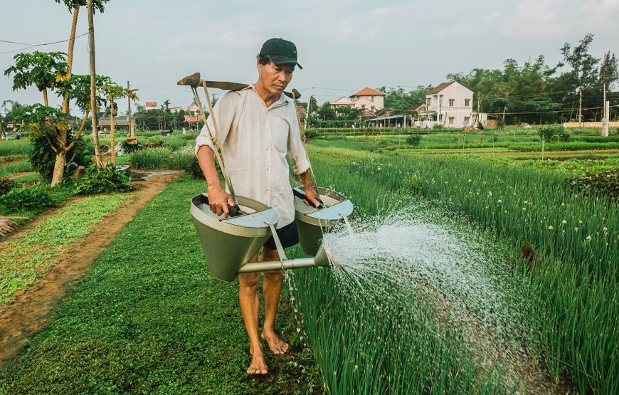 Da Nang: Marathon & Central Vietnam Explore 4-Night Package