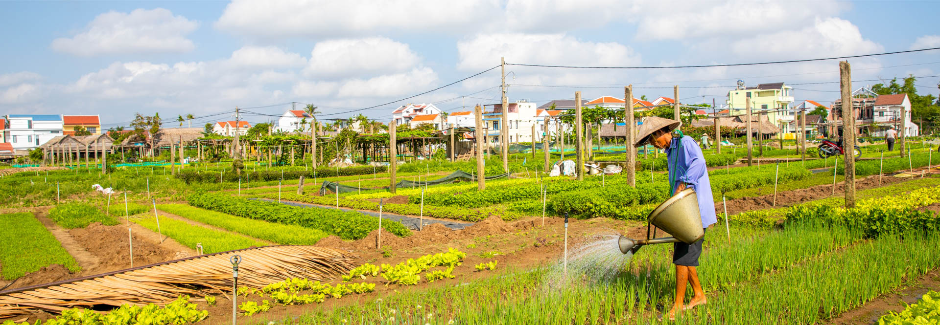 Dive into Knowledge, Adventure Awaits!